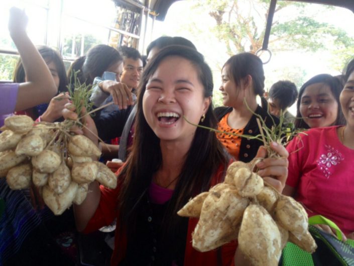 Myanmar Ladies