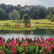 Pyin Oo Lwin